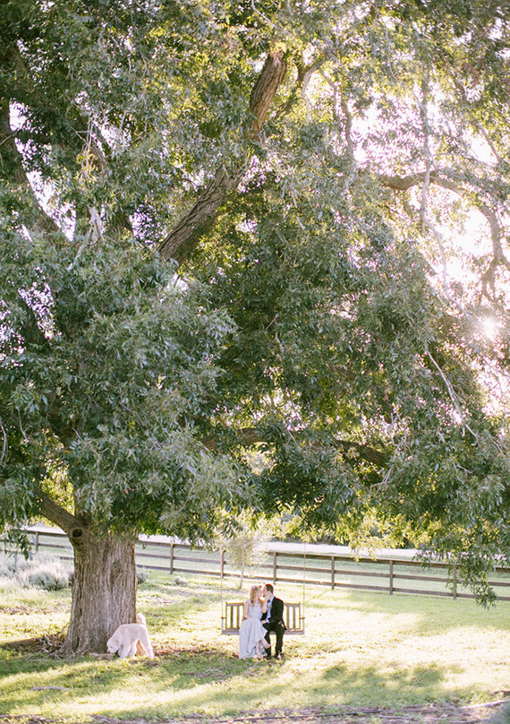 Lavender farm inspiration wedding portrait