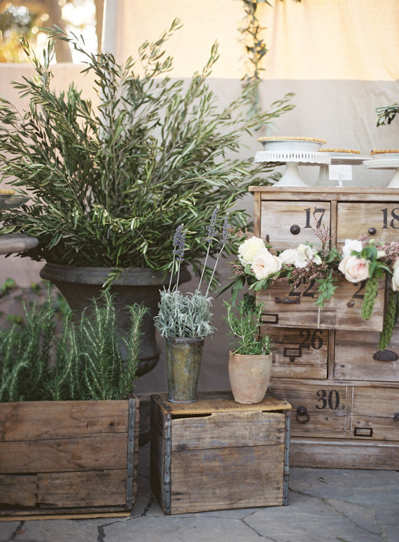 Jesi Haack Wedding Inspiration