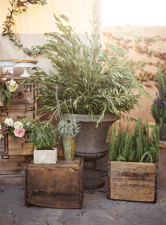 Jesi Haack Wedding Inspiration
