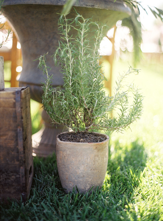 Jesi Haack Wedding Inspiration