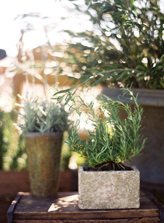 Braedon Flynn Photography Wedding Inspiration