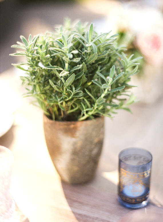 Jesi Haack Wedding Inspiration