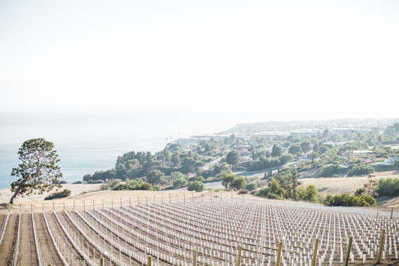 Jesi Haack Wedding Inspiration
