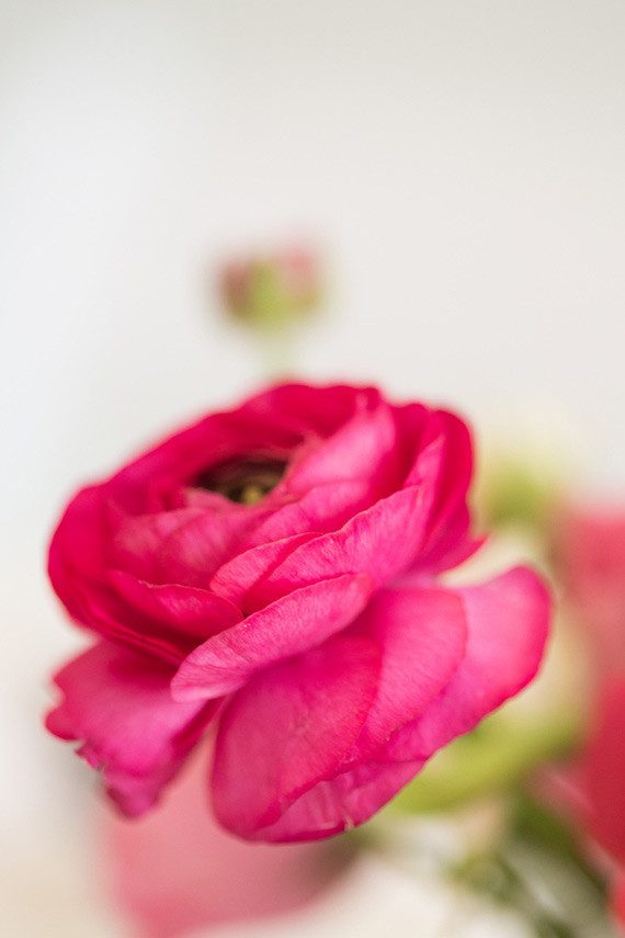 Charlie Juliet Wedding Inspiration