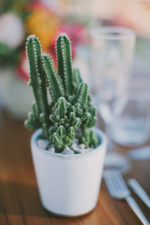 Real Weddings and Parties Wedding Inspiration