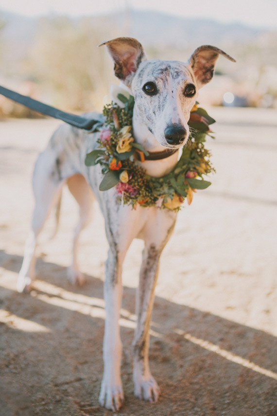 Hello Gem Wedding Inspiration