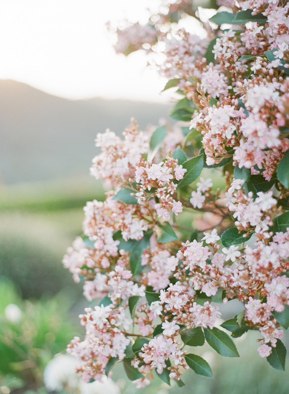 Cal A Vie Wedding Inspiration