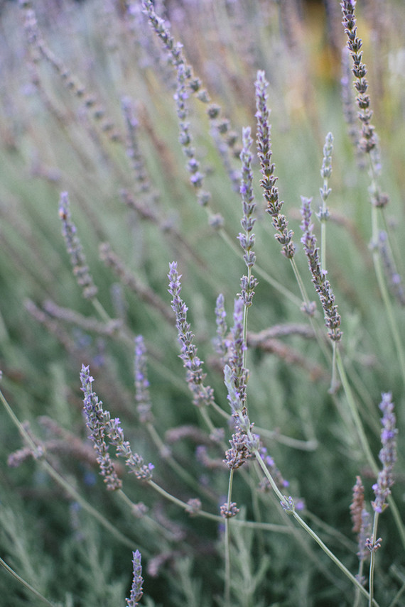 Whimsical California Wedding