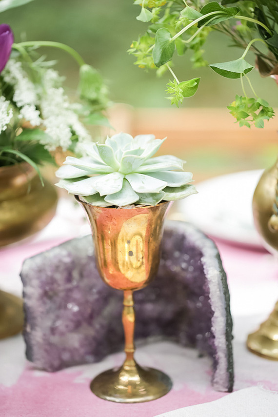 Succulent in gold vase