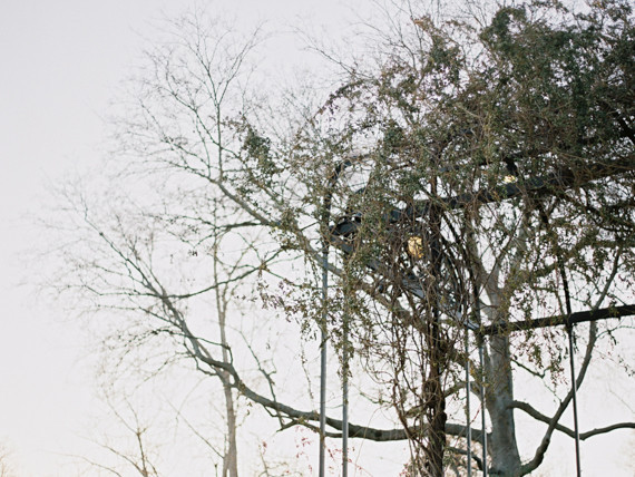 botanical garden wedding inspiration Wedding Inspiration