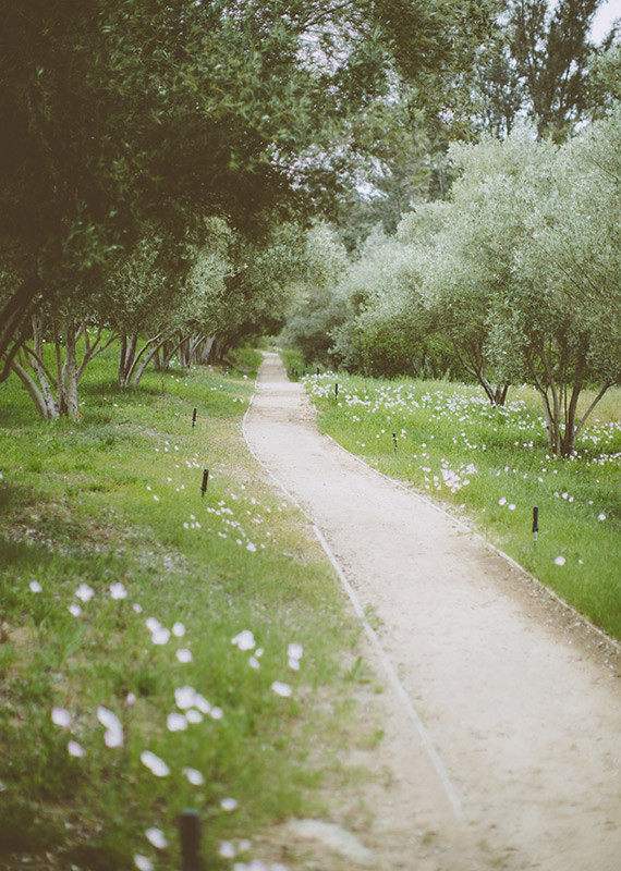 Venue Wedding Inspiration