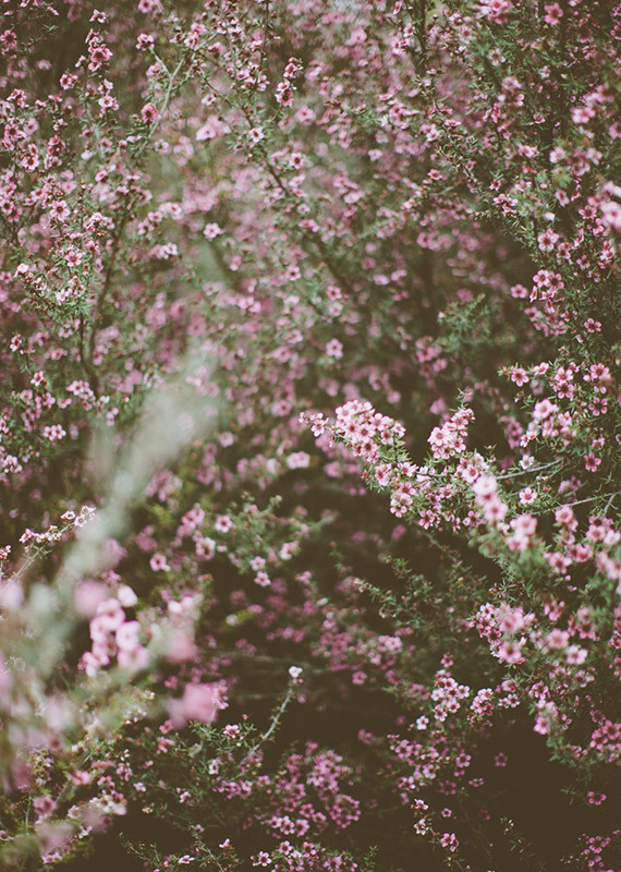 Pink Wedding Inspiration