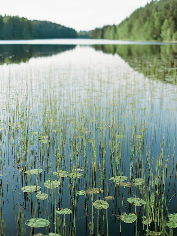 Lakeside early summer maternity photos in Karelia Russia | Ksenia Milushkina Photography | 100 Layer Cakelet Inspiration