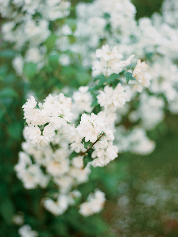 Lakeside early summer maternity photos in Karelia Russia | Ksenia Milushkina Photography | 100 Layer Cakelet