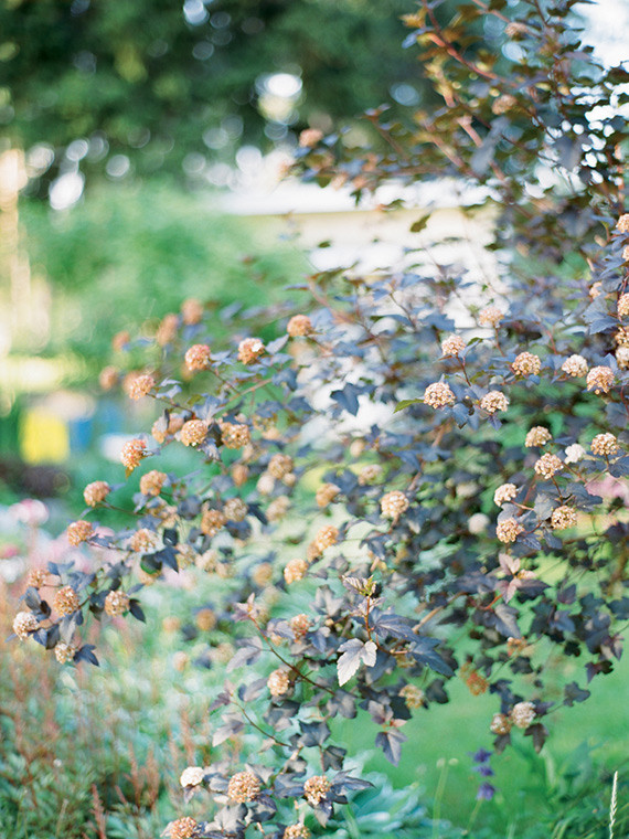 Lakeside early summer maternity photos in Karelia Russia | Ksenia Milushkina Photography | 100 Layer Cakelet