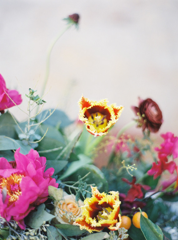 Parrot Tulips