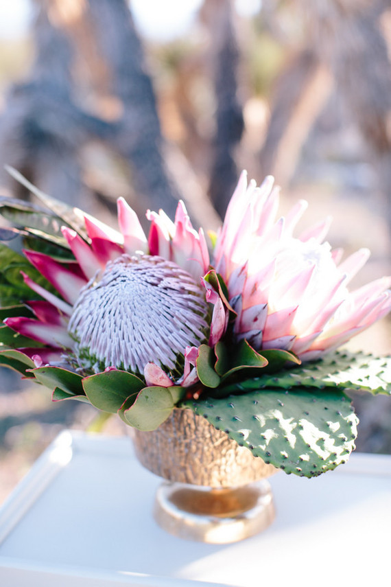 Protea floral centerpiece