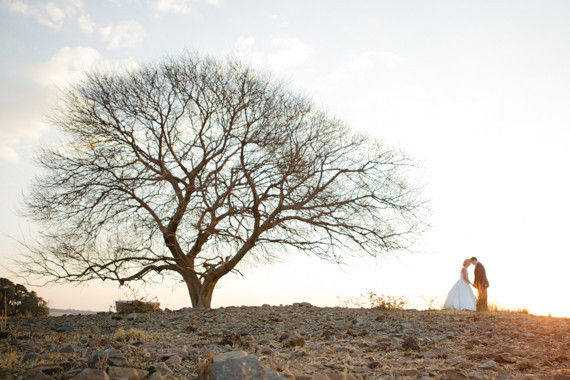 South Africa Wedding Portraits
