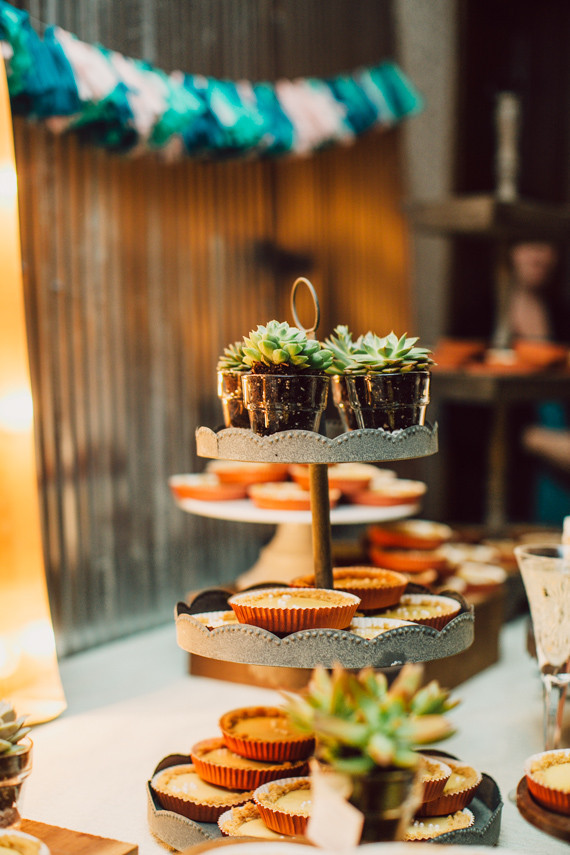 Mini pies with succulents