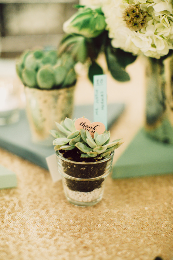 Succulent wedding favors