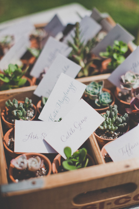 Mini plant escort cards Inspiration