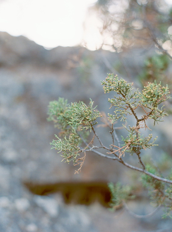 Organic Natural Oregon Wedding Inspiration