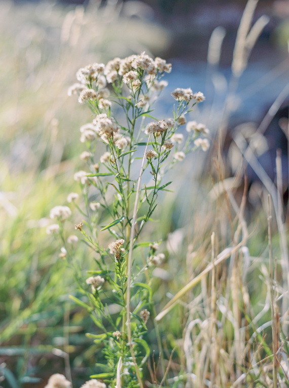 Organic Natural Oregon Wedding Inspiration Inspiration