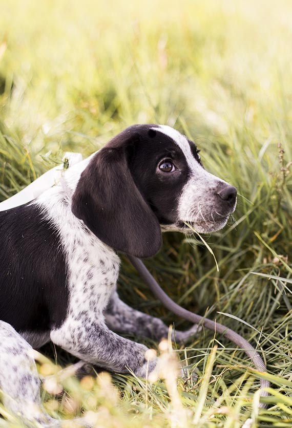 Old World Vintage Wedding Inspiration