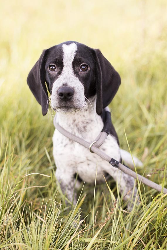 Old World Vintage Wedding Inspiration