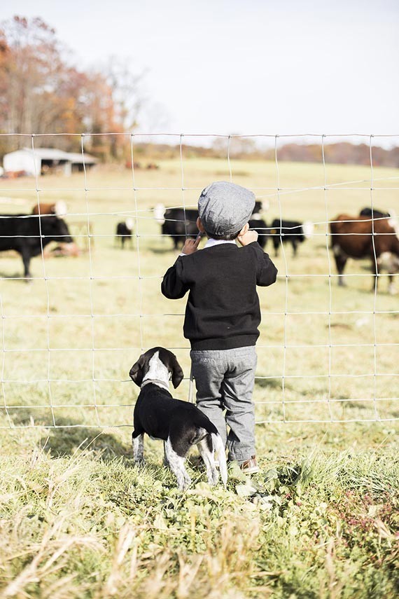 Old World Vintage Wedding Inspiration