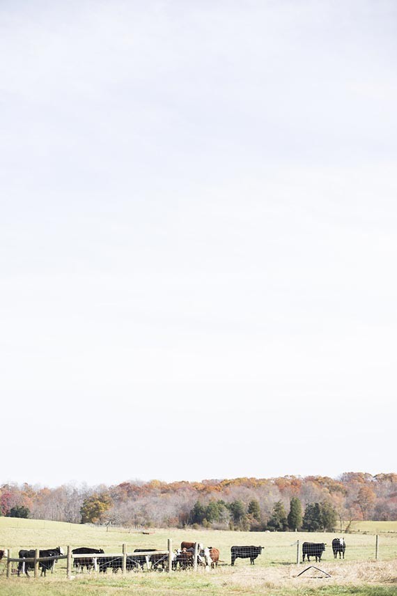 Old World Vintage Wedding Inspiration