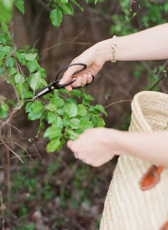 Foliage Inspiration