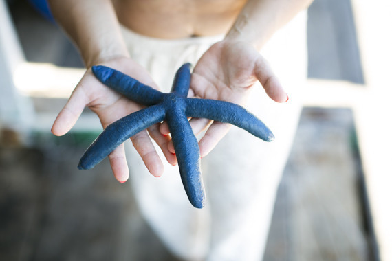 Ninh Van Bay Vietnam