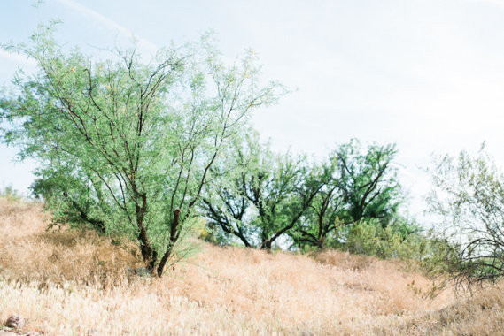 arizona desert Inspiration