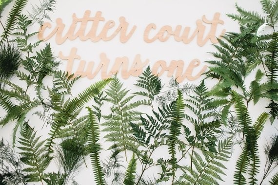 Fern backdrop
