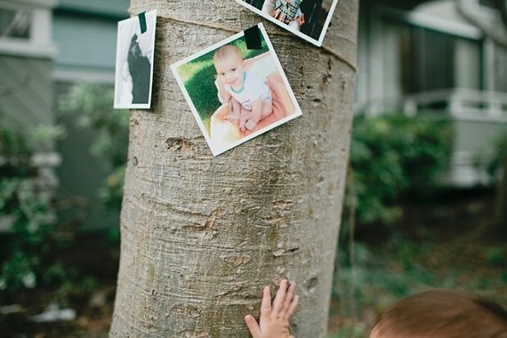 Animal first birthday ideas