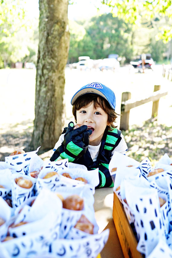 Wild Kratts 5th Birthday Wedding Inspiration