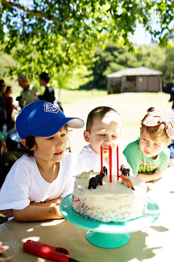 Wild Kratts 5th Birthday Wedding Inspiration