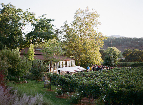California vineyard wedding