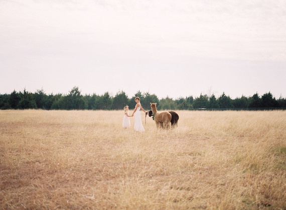 Alpaca Farm wedding inspiration