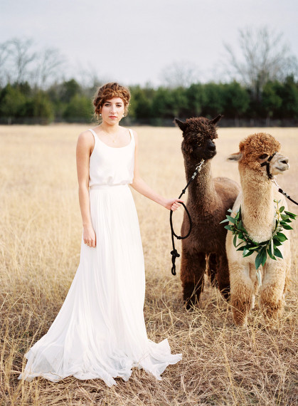 Alpaca Farm wedding inspiration