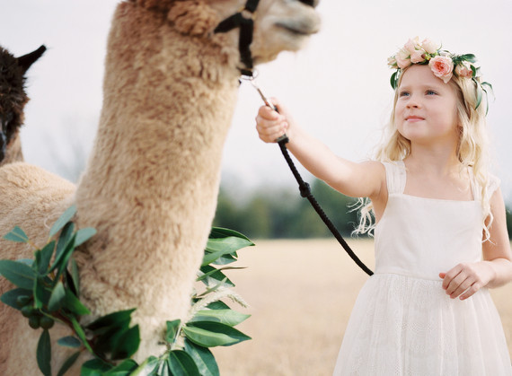 Alpaca Farm wedding inspiration
