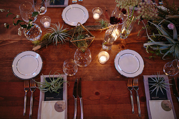 Wooden tablescape with air plants