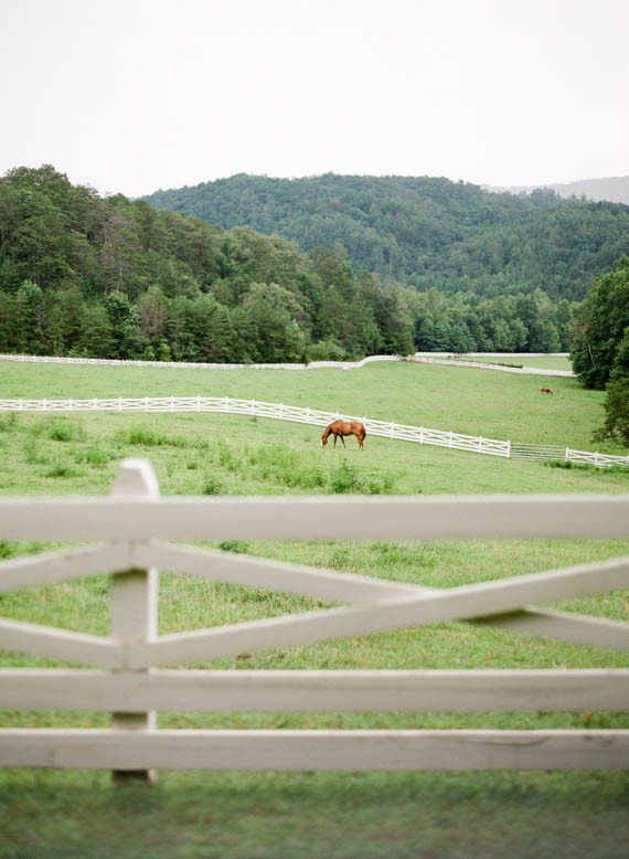 Country farm