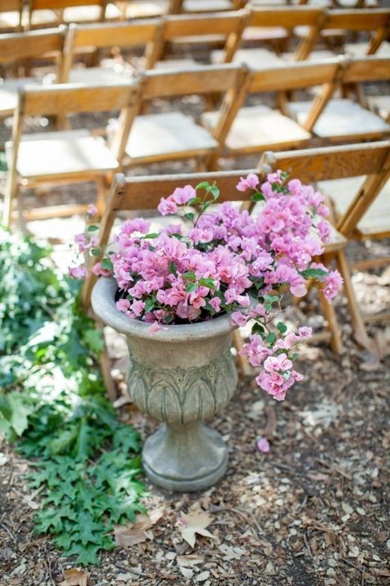 Santa Barbara Natural History Museum wedding