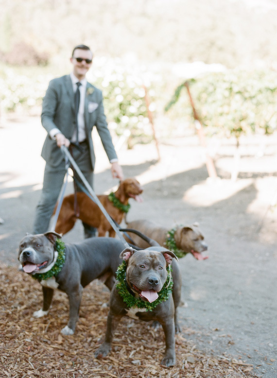 Groom Inspiration
