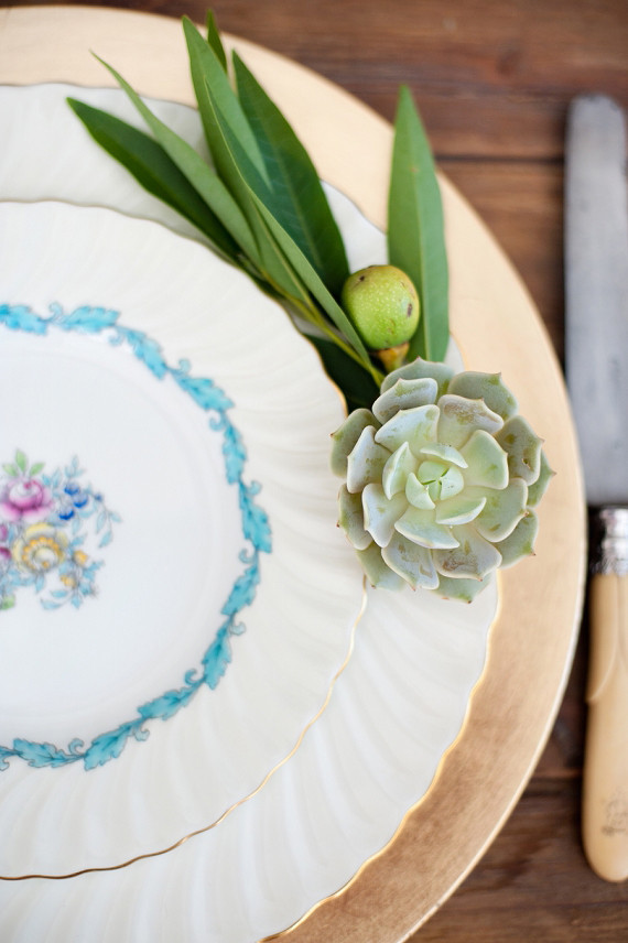 Succulent plate decor
