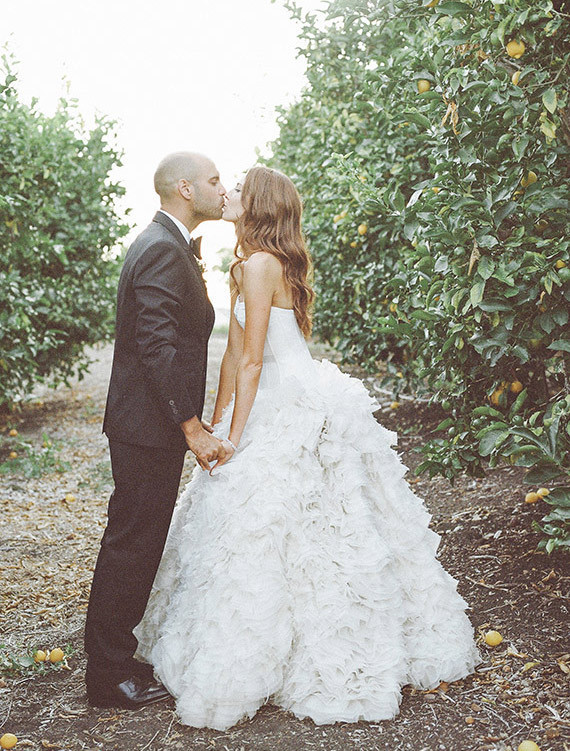 Lemon orchard portrait
