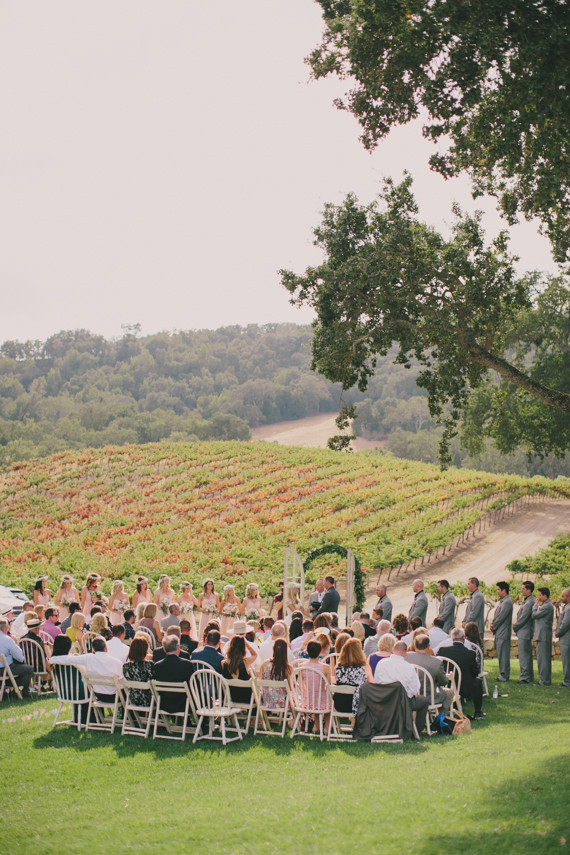 HammerSky Vineyards wedding