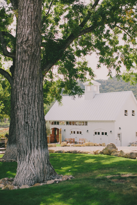 HammerSky Vineyards wedding